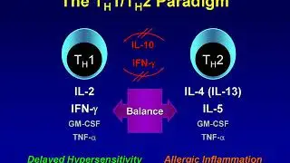 immune regulation and Tolerance