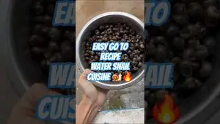 &ldquo;How to Cook Delicious Snail Curry (Traditional Recipe!)&rdquo; #northeastindia #snailcooking #minivlog