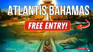You Won’t Believe What You Can Do for FREE at Atlantis Bahamas!