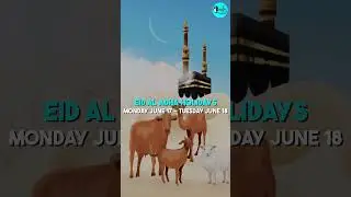 Official UAE Holiday Calendar For 2024! | Curly Tales ME #shorts