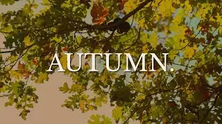 Autumn - A Cinematic Short Film | Sony A7IV
