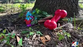 Residents push for suspect to &lsquo;come forward&rsquo; after dog found tied to tree, shot to death
