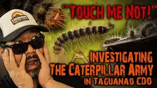 The Caterpillar Army in Taguanao CDO | Urban Wilde CDO