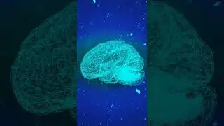 Activate Your Higher Mind for Success