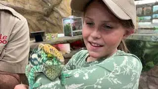 The ZOO adventure with Junior Zookeeper! 🤗