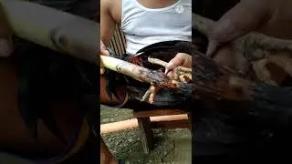tamang processo sa pagtanggal Ng tahid ng manok..