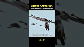 因紐特人餓到走投無路吃雪橇犬車充饑，啟動夏季食物儲備熬過寒冬 #即錄觀世界 #紀錄片 #電影 #北極 #因紐特人
