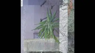 BD1982 - Sailing Towers