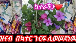 🔵@#ዝናብ#በኳተር #ጉርፍ ሊወሠደነዉ🙆🙆