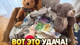НАШЛА ТО, О ЧЁМ МЕЧТАЛА 😍 Но зачем он купил ЭТО?!