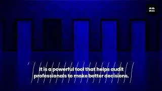 Data Analytics in Audit