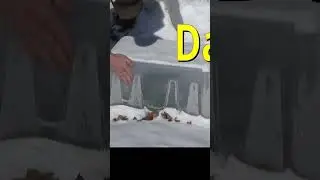 Extreme gardening Day 1 below zero