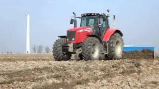 Livellamento in risaia: Massey Ferguson 7495 Dyna-Vt e 6490 Dyna-6 + Livelle Fontana x 2