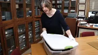 Library archivist protects letter from 1866