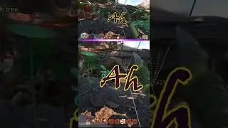 Spiders make weird noises!