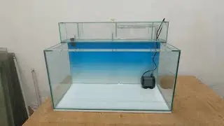 Pesanan Akuarium Ikan Glowfish Background Gradasi dan Filter Talang Minimalis