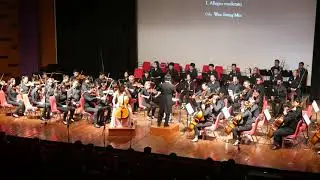 David Popper, Cello Concerto No.2 in e minor Op.2 - I. Allegro moderato