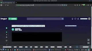 How I Exploited XSS BUG | BUGBOUNTY PoC | #BUGBOUNTY