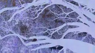 Florida Georgia Line - H.O.L.Y. (Electro Remix)