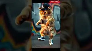 Coolest Cat Dance Ever! | Funniest Street Cat Vibes #Shorts #catdance #cat