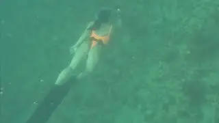 Hollywood Beach, FL Spearfishing