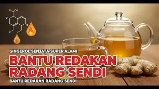 Gingerol Rahasia Jahe Melawan Peradangan Kronis Bongkar Mekanisme Anti inflamasi dan Antioksidan