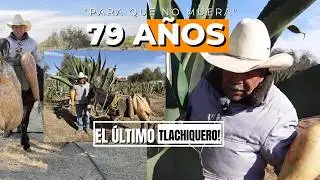 EL ANCIANO QUE SE NIEGA a dejar morir el pulque sale con su burro al rescate de la bebida milenaria