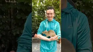 What&rsquo;s it&rsquo;s really like volunteering abroad!