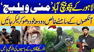 Mini Village in Heart of Lahore | Fresh Milk & Clean Living | Hidden Gem Revealed | Samaa Punjabi