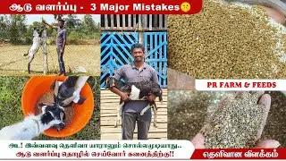 🐐ஆடு வளர்க்கும் முன் கட்டாயம் பார்க்க வேண்டிய பதிவு|  Beginners must watch ❗| PR Goat & Feeds