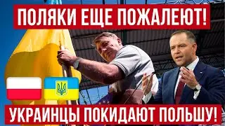 Украинцы покидают Польшу! Кто их заменит?