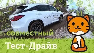 Совместный тест-драйв Lexus и Busyhouse
