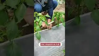 Mulching Techniques #satisfying #short