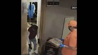 Chimpanzee Pays For Pizza Delivery in Russia
