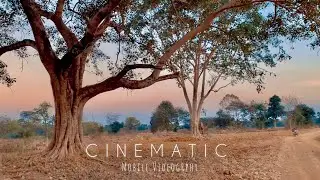 Xiaomi Mi 10i Cinematic Video | Mobile Cinematography