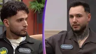 Incepe scandalul! Exista serpi in Emisiune? Alexandru are comportament agresiv?