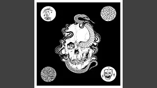Last of the Acid Cowboys