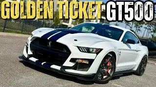 Ford Mustang Shelby Mustang GT500 Is The Golden Ticket Willy Wonka Dreamed Of