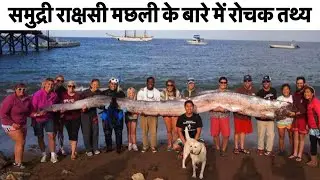 ओरफ़िश - Doomsday Fish समुद्र की रहस्यमयी मछली | रोचक तथ्य और अनसुनी बातें