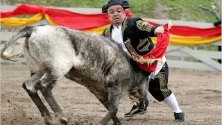 Top 5 Craziest Jackass Stunts Ever