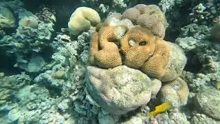 My GoPro Video