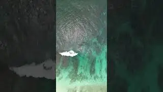 Woman almost swept away by MASSIVE RIP CURRENT! #shorts #ocean #waves