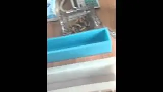 12'' toast mould no bowing test  12寸吐司模具变形试验3