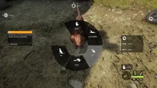 theHunter: Call of the Wild Как получить доступ к Dogs from Kennel