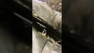 21 ноября 2023 г.
