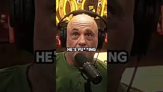 Joe Rogan On Andrei Arlovski Fight With Influencer🥊