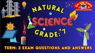 Grade 7 Term 3 Natural Science Exam Review | Questions and Answers