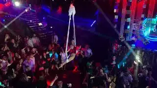 SOEA || Nightclub highlights