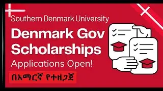 The University of Southern Denmark Scholarship 2024