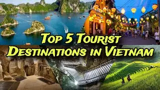 Vietnam's Hidden Gems: Top 5 Tourist Destinations!  l Vietnam l Travel analysis